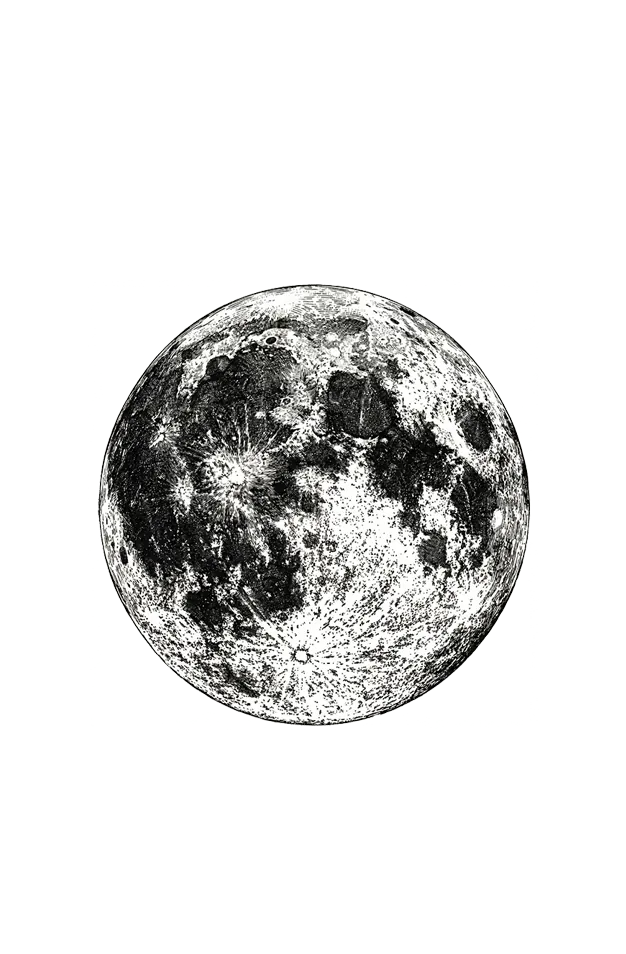 Logo Les Enfants Sauvages